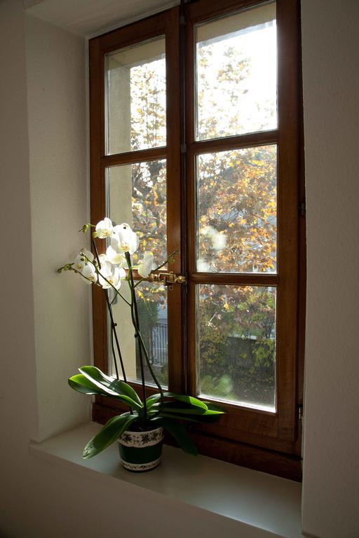 Charming Geneva Appartement Buitenkant foto
